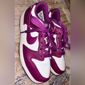 Nike Dunk Low Youth Sneakers